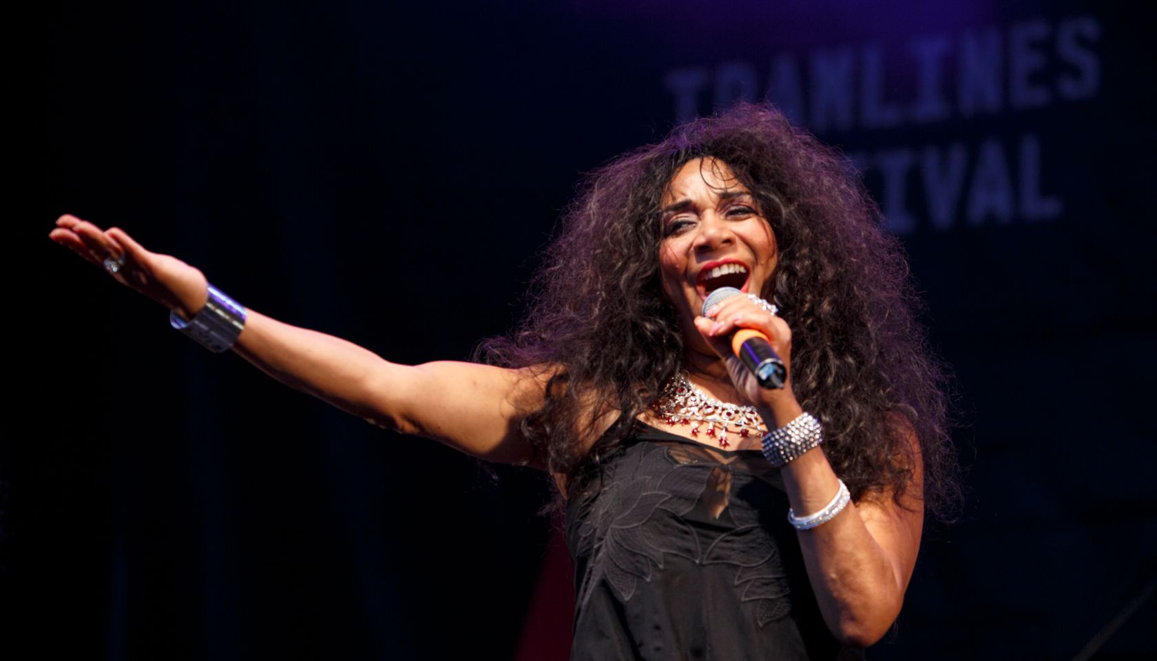 Tramlines Festival 2014 - Day 2