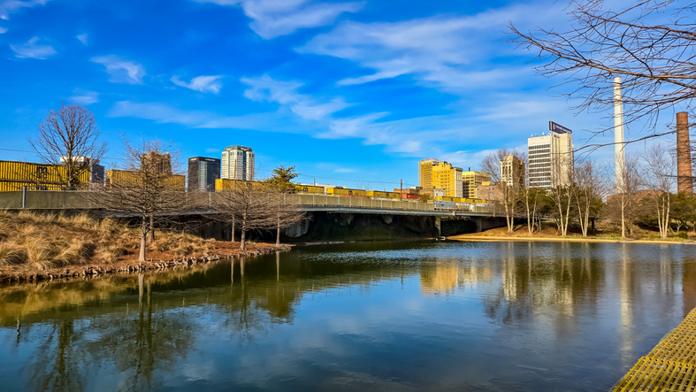 Winter Water, Frozen Railroad Park, Birmingham, Alabama