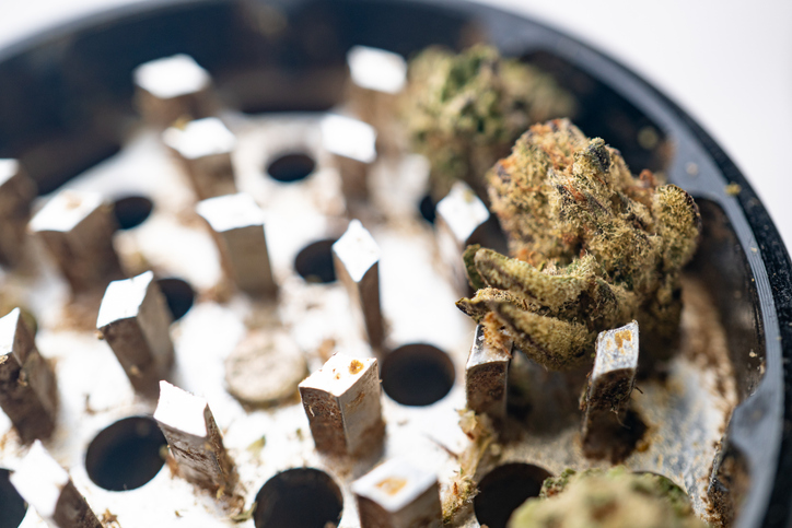Marijuana Cannabis weed buds in grinder.