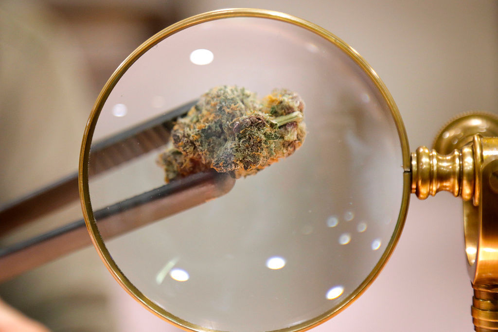 The San Diego Union-Tribune Archive