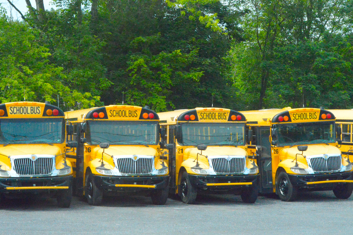 School Buses